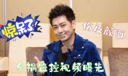 林志颖被爆料视频最新,真相与争议交织”